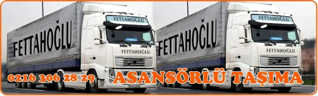 Pendik evden eve nakliyat hizmetinde esyalarin dikkatli tasinmasi